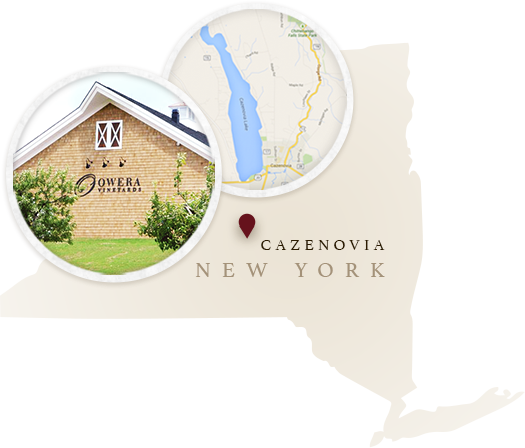 Map of New York State showing location of Cazenoiva the city where Owera Yineyards is located
